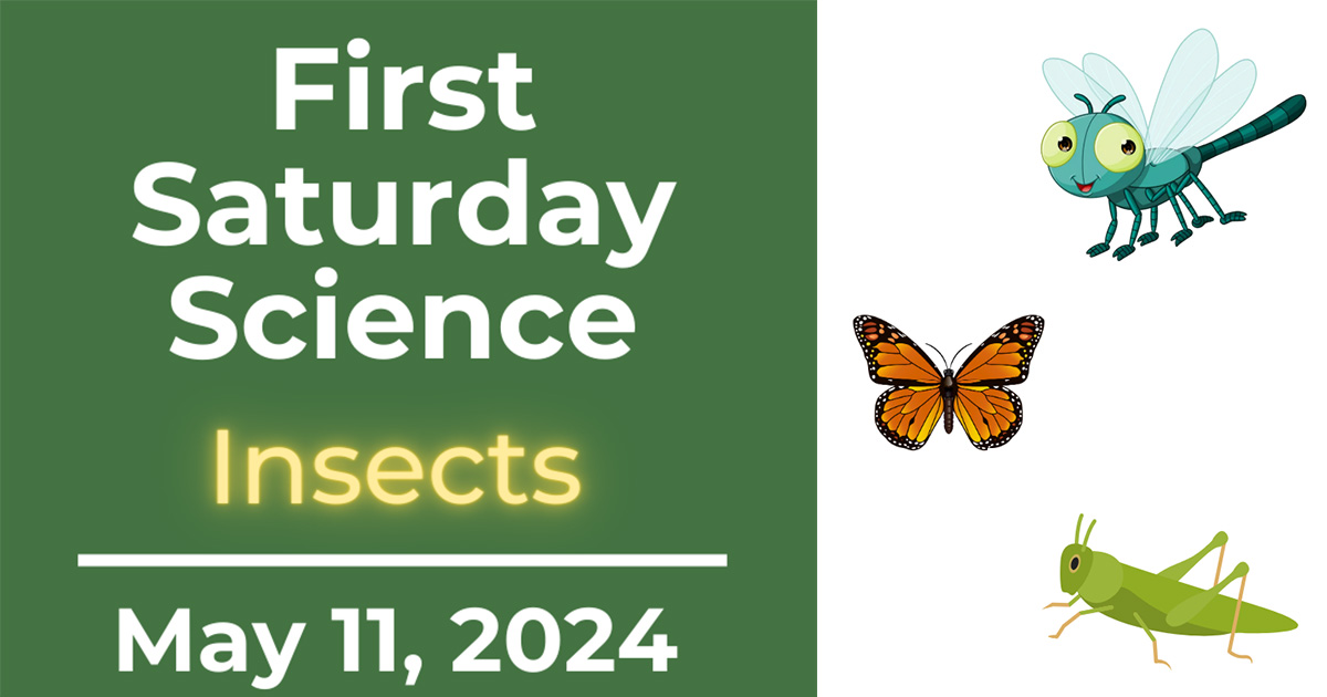 First Saturday Science: Insects, May 11, 2024, with three cartoon insects to the left