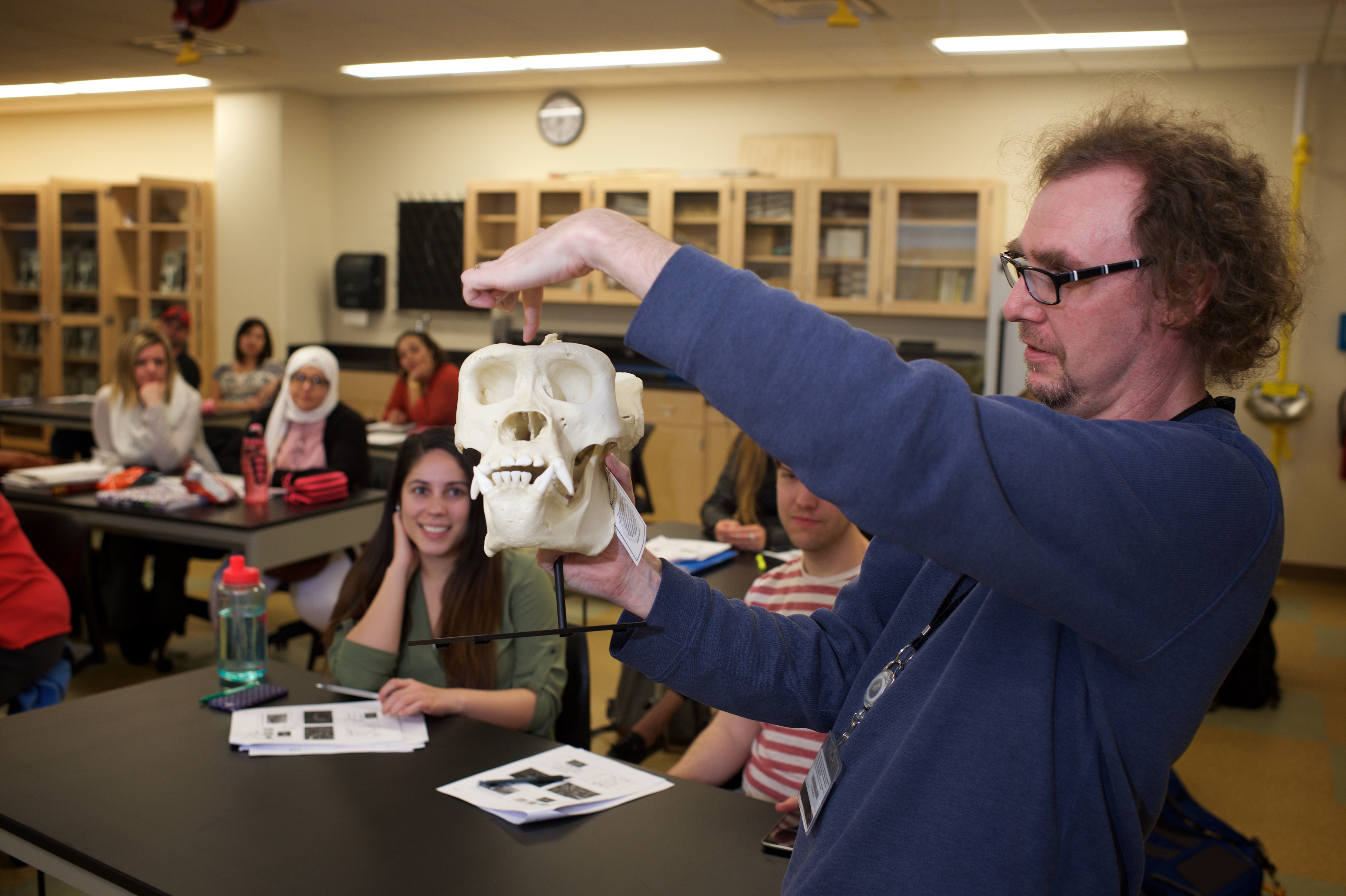 An instructor discusses a primate skull with a class