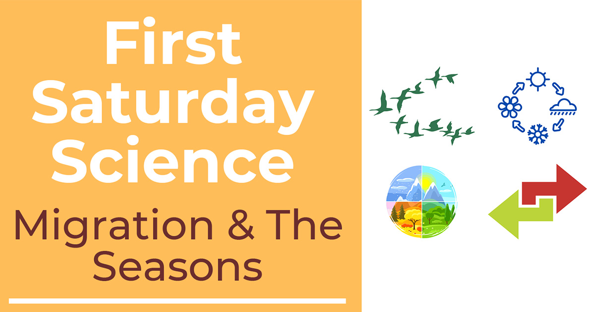 First Saturday Science: Migration and the Seasons