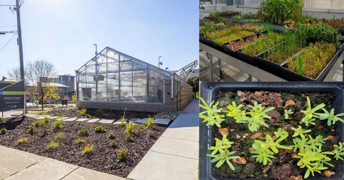 a a building with a greenhouse front area pictured on a sunny day; several planter beds growing various plant types; a closeup of recently sprouted plants in a black plastic planting container