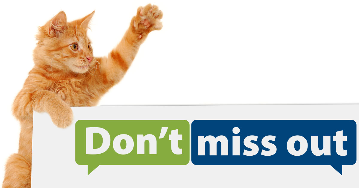 A photo of an orange kitten holding it's paw up while sitting behind a sign that says 'Don't miss out.'
