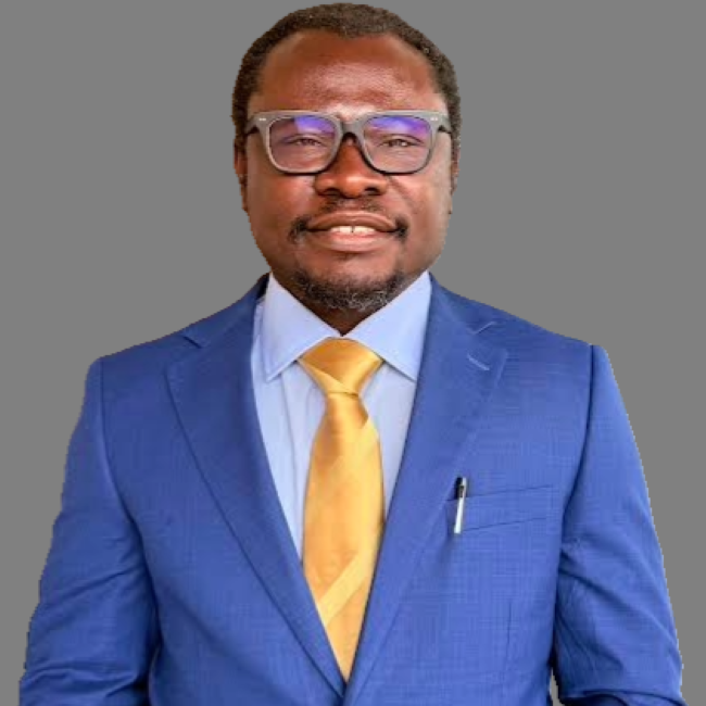 Profile image for Ikenna Odii