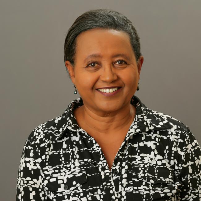Profile image for Birtukan Abebe