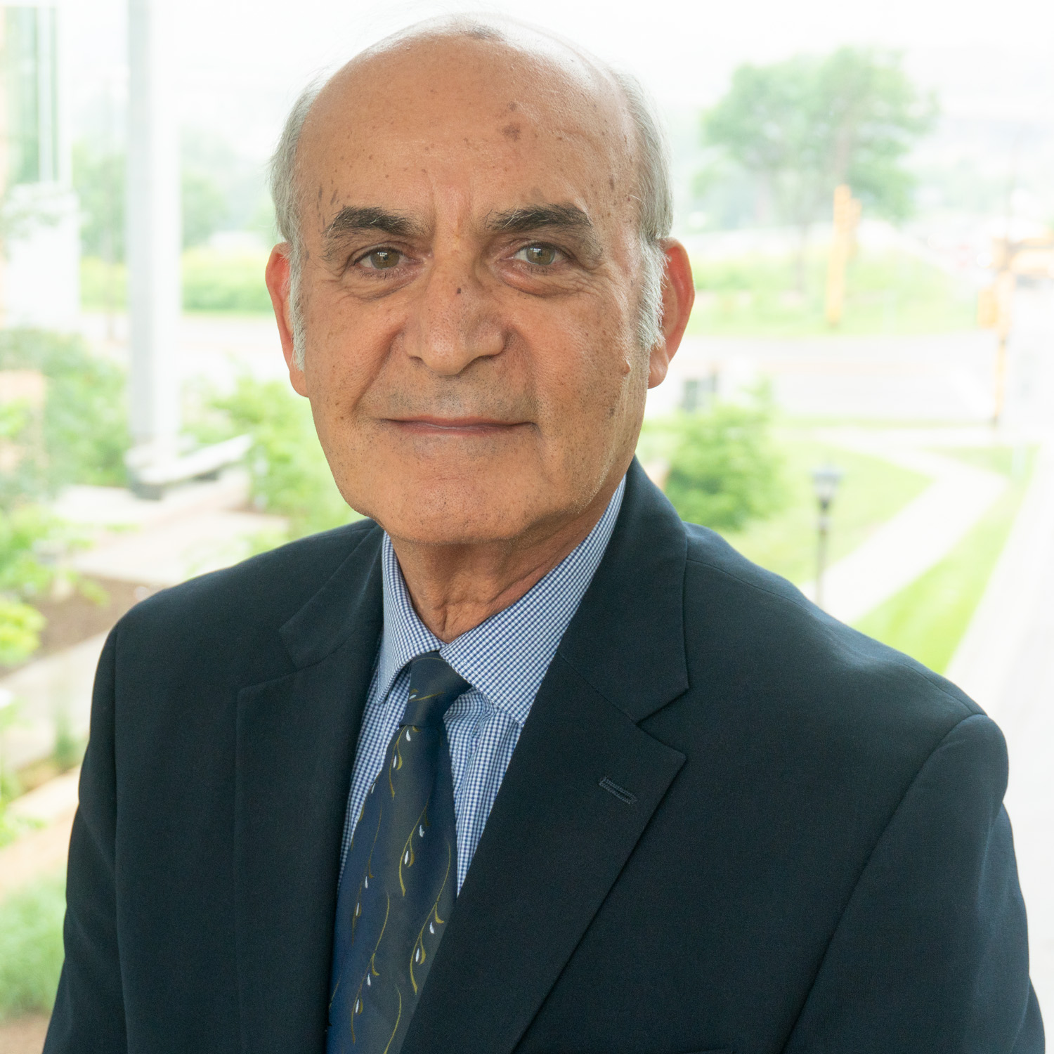 College of Business and Management Dean Rassule Hadidi