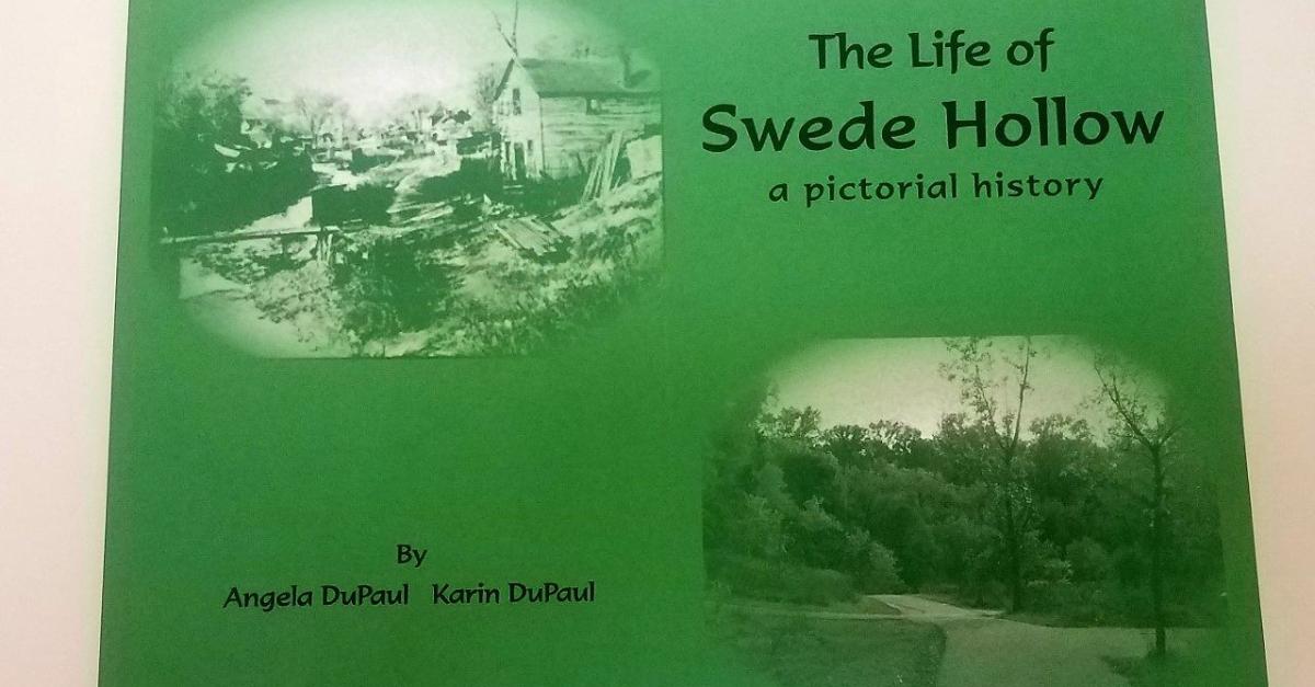 The Life of Swede Hollow book image