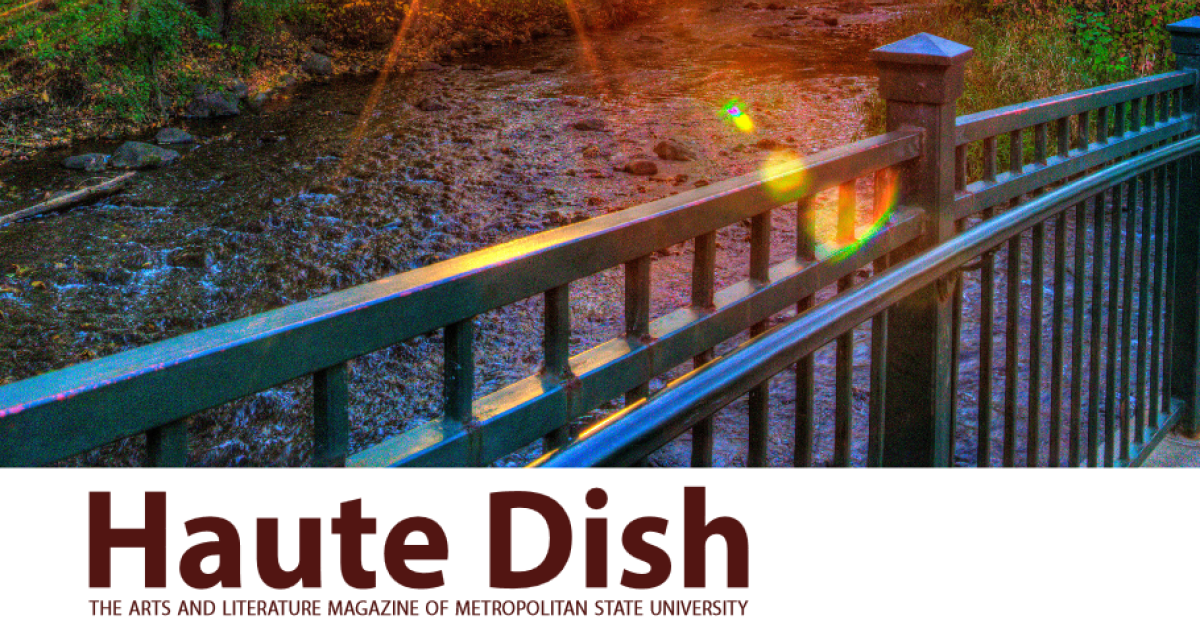 Haute Dish book cover