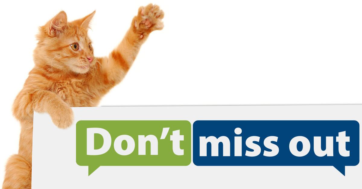 A photo of an orange kitten holding it's paw up while sitting behind a sign that says 'Don't miss out.'