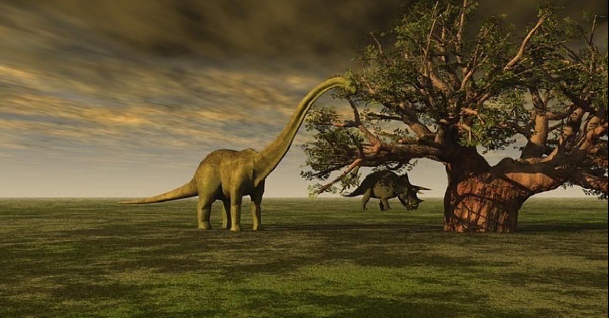 Prehistoric dinosaurs image