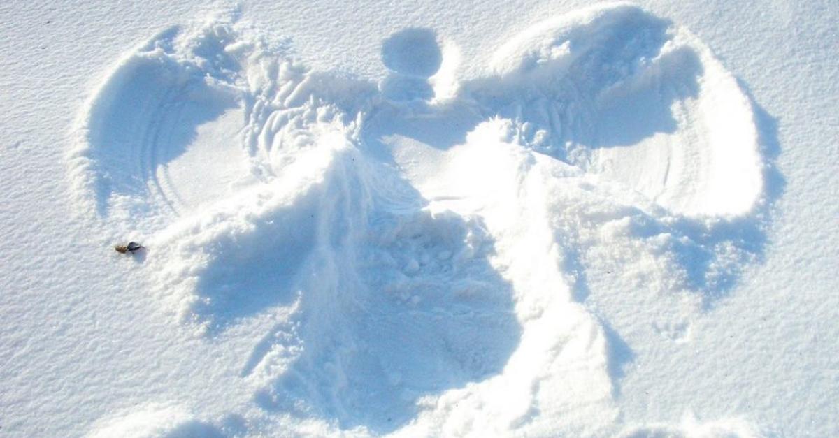 Snow Angel image