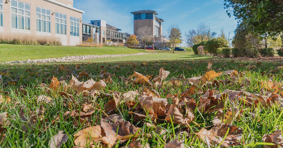 metropolitan state university saint paul campus photo taken from library grounds