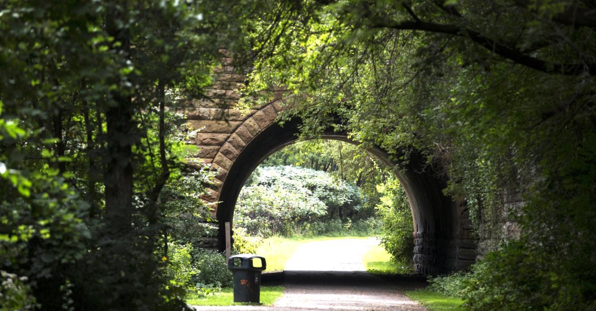 Photo of bridge tunnel in Swede Hollow Park