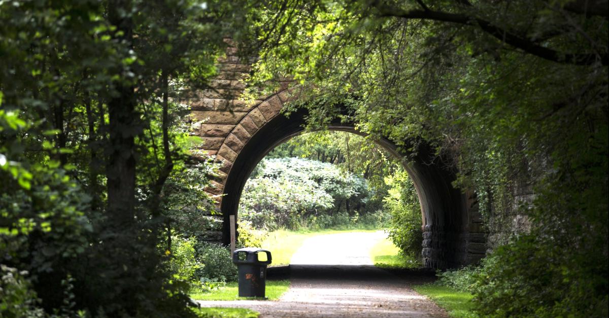 Drewry Tunnel, Swede Hollow Park