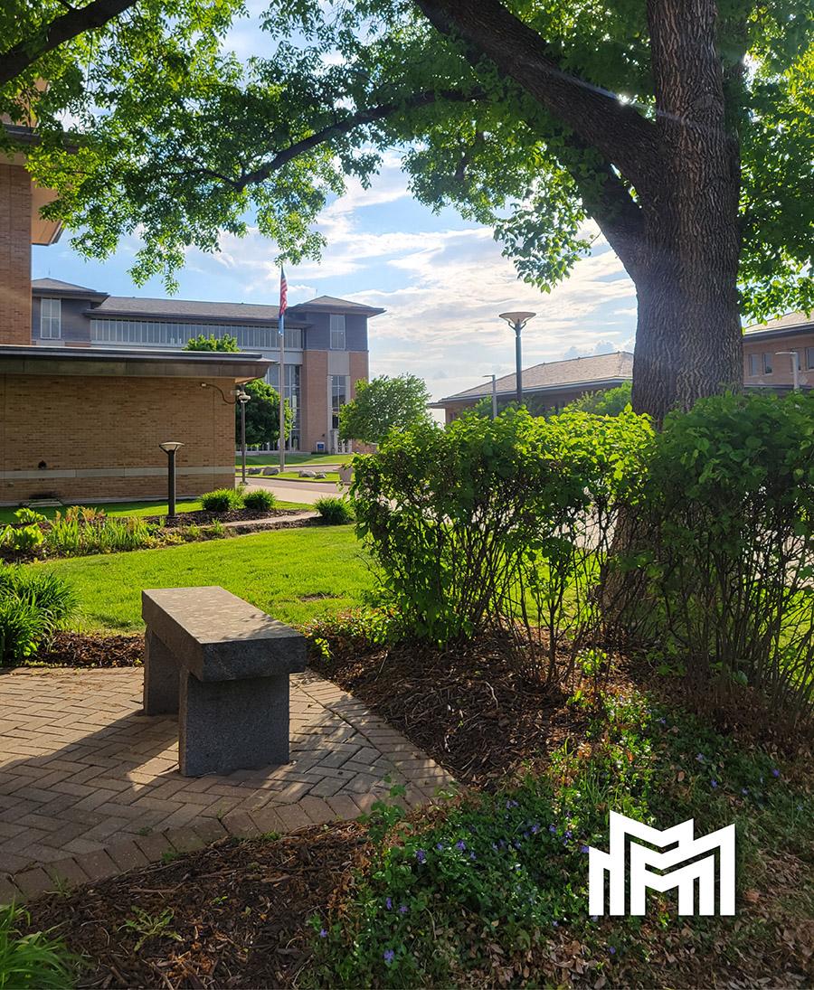 Metro State campus framed by a tree with a stone bench in the foreground